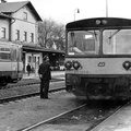 810-321-rakovnik