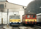 810-338-trutnov