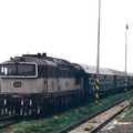 750-013-medlesice-1996