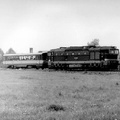 753013-lysa-1991