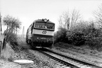 753047-uhl-janovice-1995