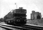 753341-sadova-1987