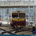 chocen-810