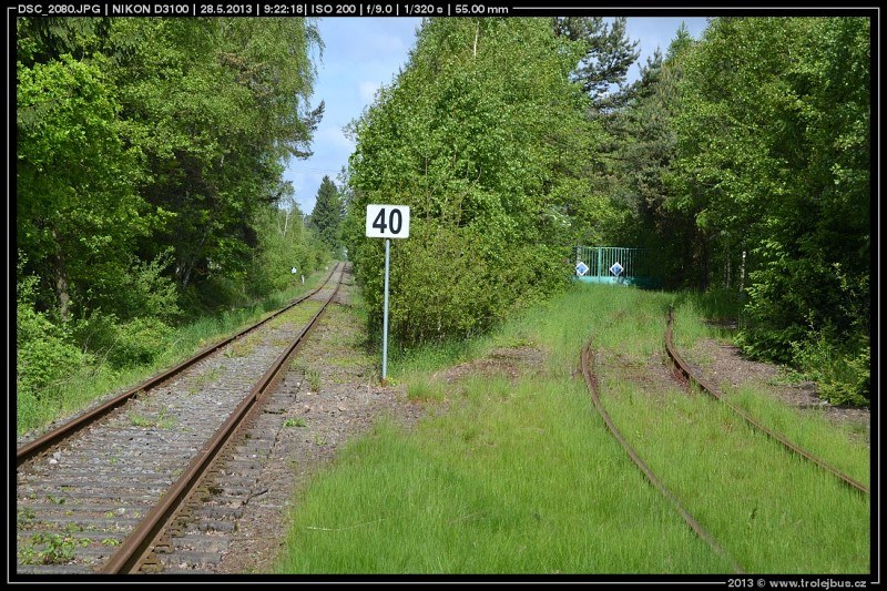 21-achp - 21-achp.jpg 21-achp.jpg
