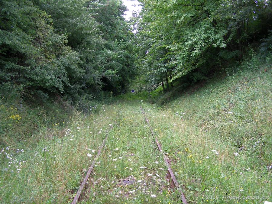 2009-rovne-07 - 2009-rovne-07.jpg 2009-rovne-07.jpg