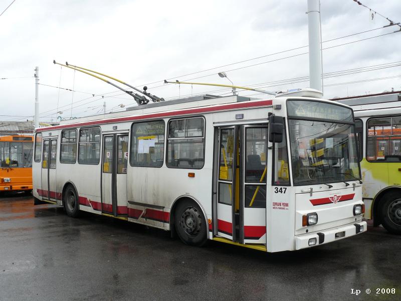 den-bez-trolejbusu-025.jpg