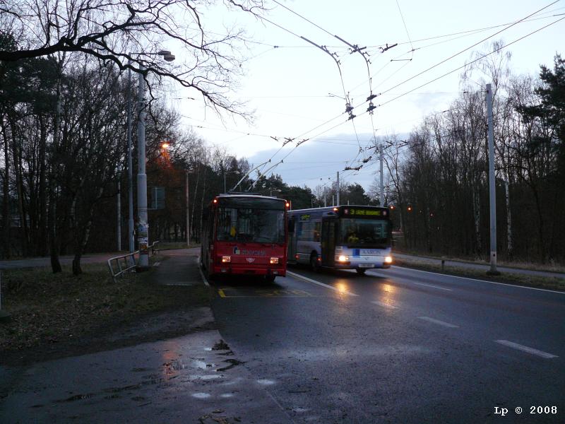 den-bez-trolejbusu-040.jpg