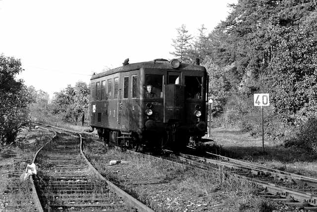 1013zlebyvj - 1013zlebyvj.jpg 1013zlebyvj.jpg