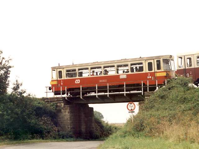 810-353-zajecice.jpg